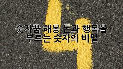 숫자꿈 해몽: 돈과 행복을 부르는 숫자의 비밀