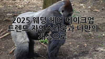2025 웨딩 헤어 메이크업 트렌드: 자연스러움과 나만의 개성으로 ✨